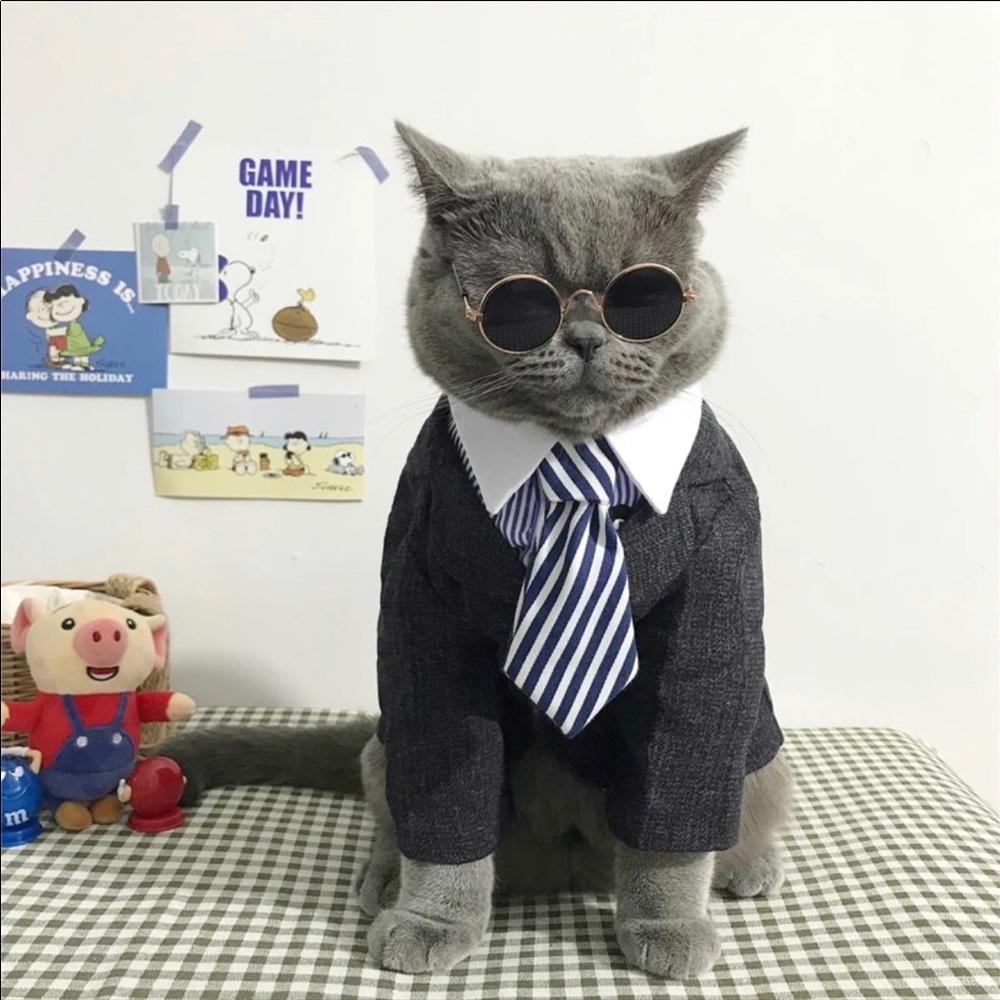 Cat:dog tie collars